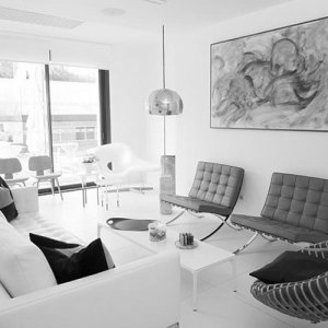   Ludwig Mies van der Rohe  (1886 -...